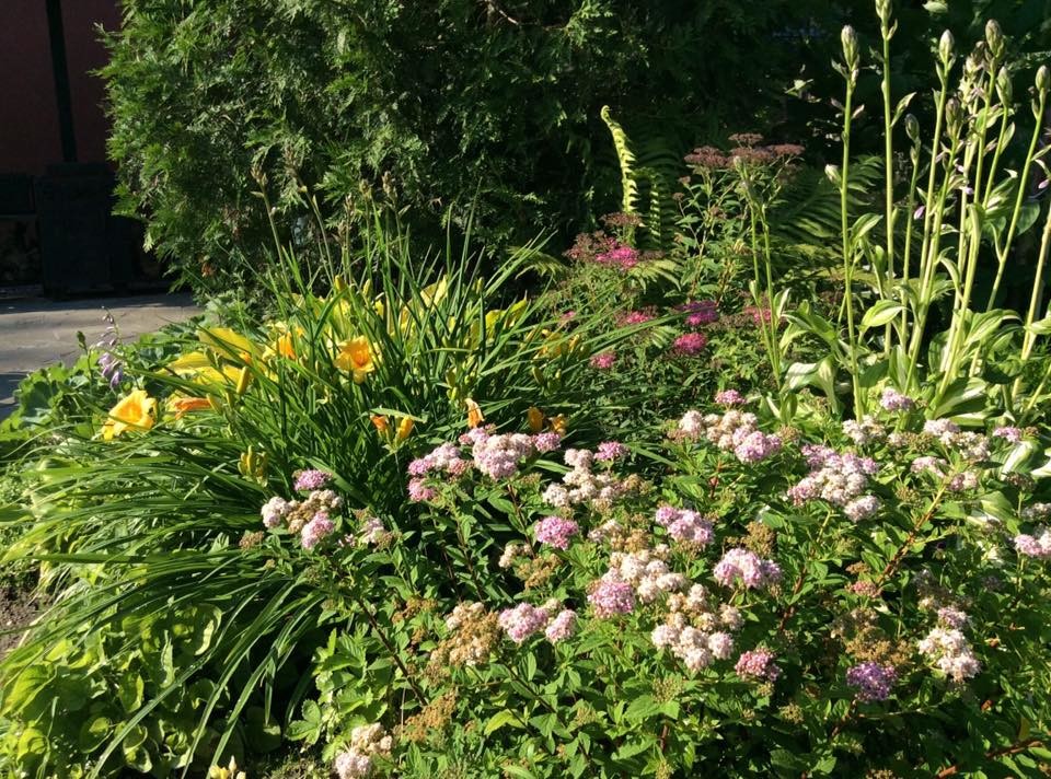 САДИК НА ЛАДОШКЕ 2016