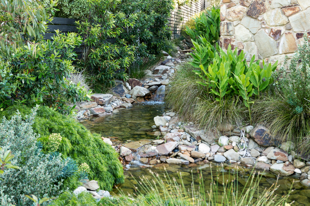 This is an example of a contemporary garden in Melbourne.