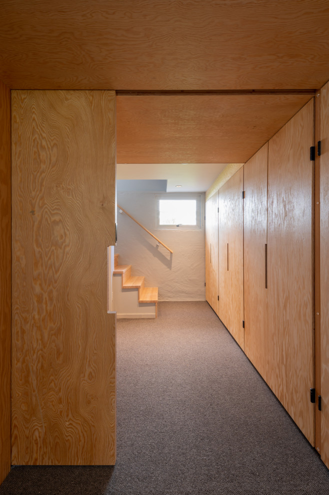 Basement - transitional basement idea in Seattle
