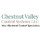 Chestnut Valley Control Systems