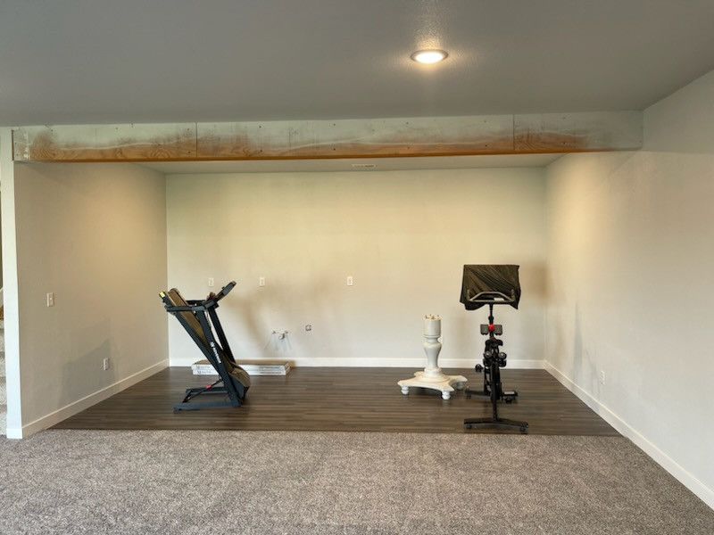 Basement Gym