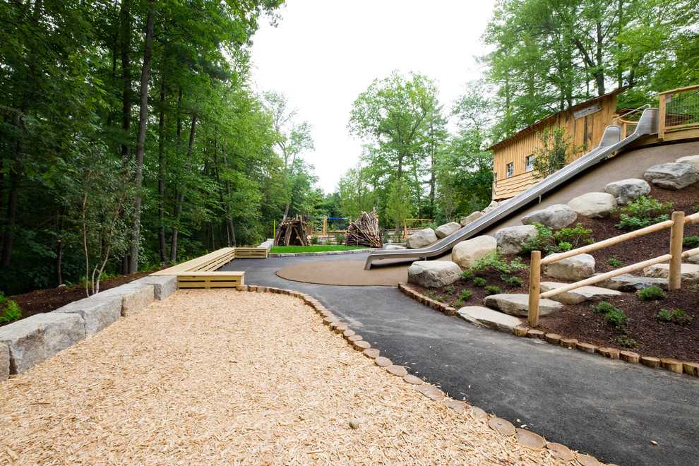 Discovery Woods