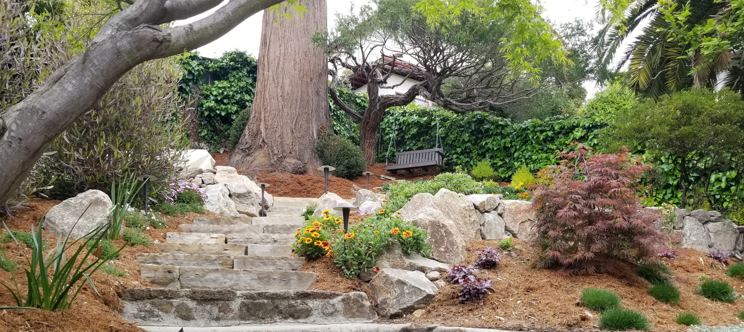 Terraced Design for Play and Perspective