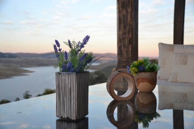 Casa de Campo en Extremadura country-courtyard