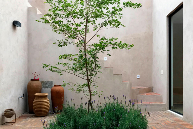 AR HOUSE contemporary-courtyard