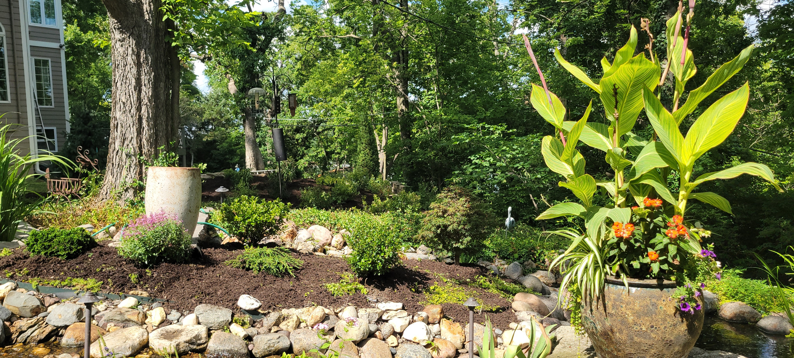 2025 Garden Highlights