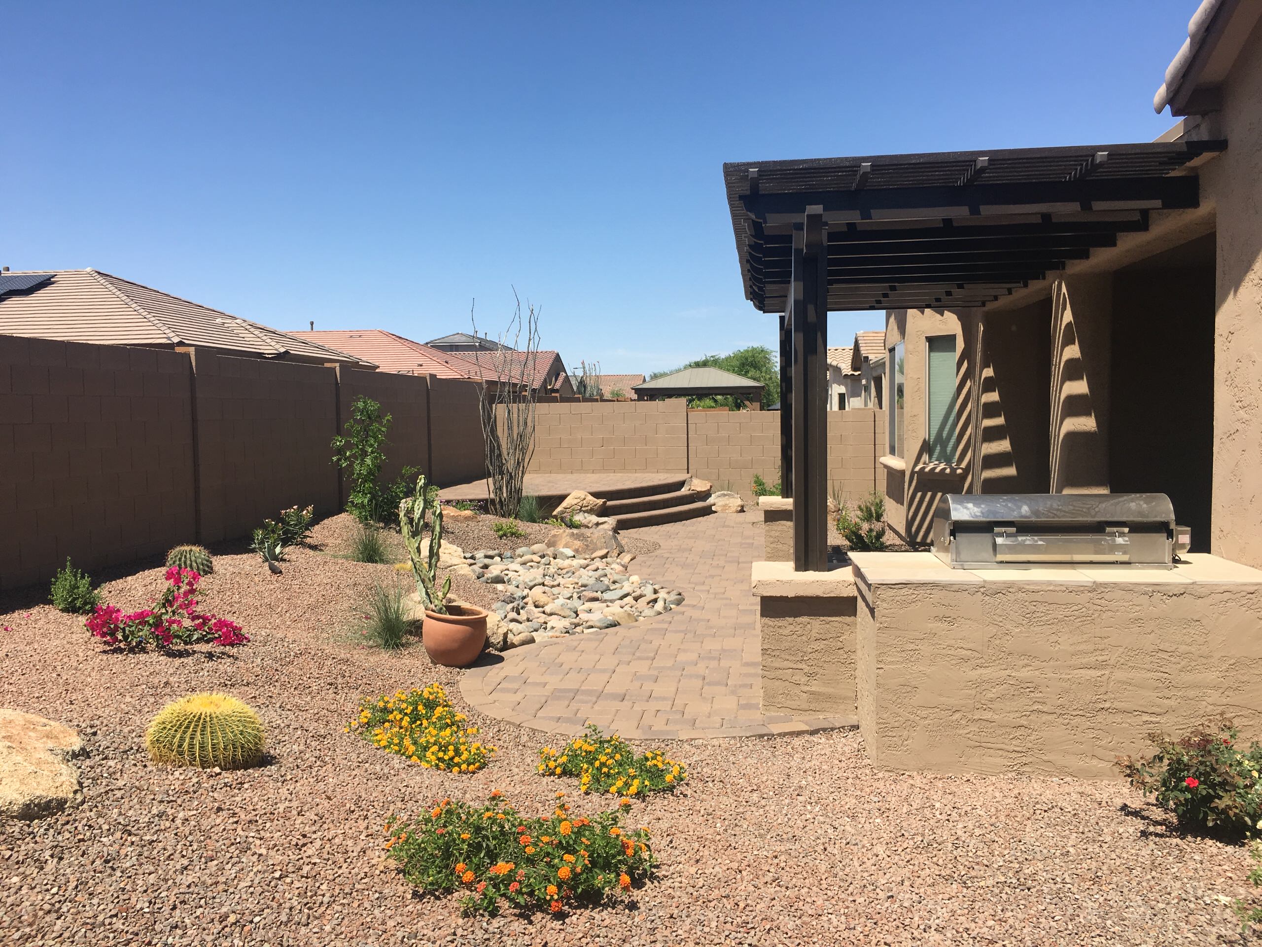 Desert Landscaping