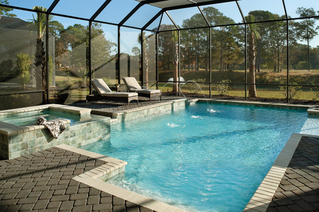 Coquina 1137 - Pool - Tampa - by Arthur Rutenberg Homes