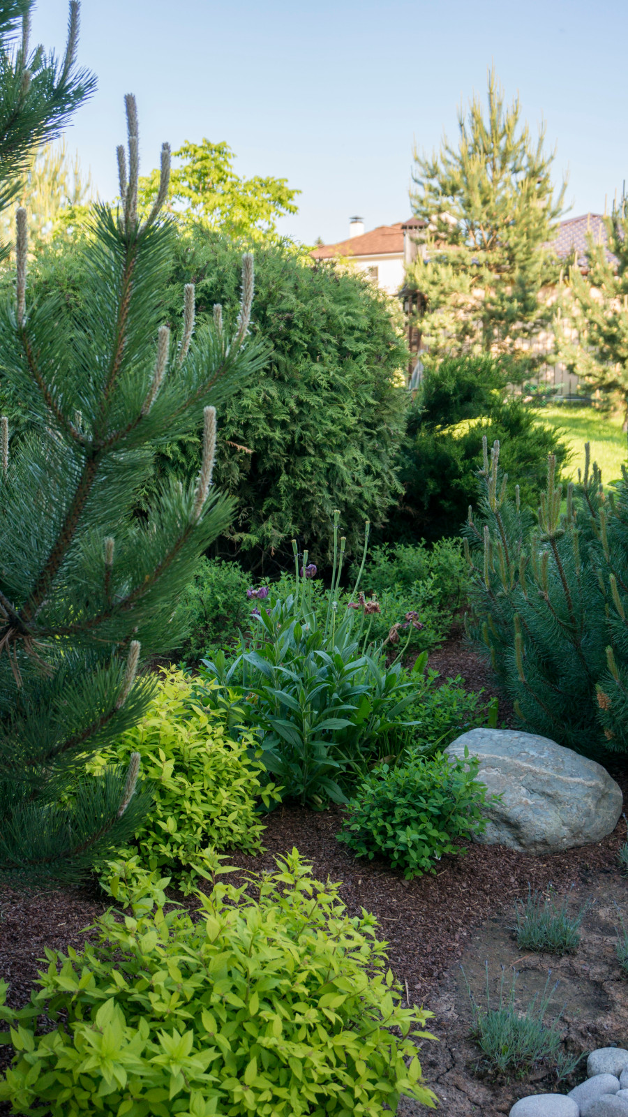 Реконструкция горки