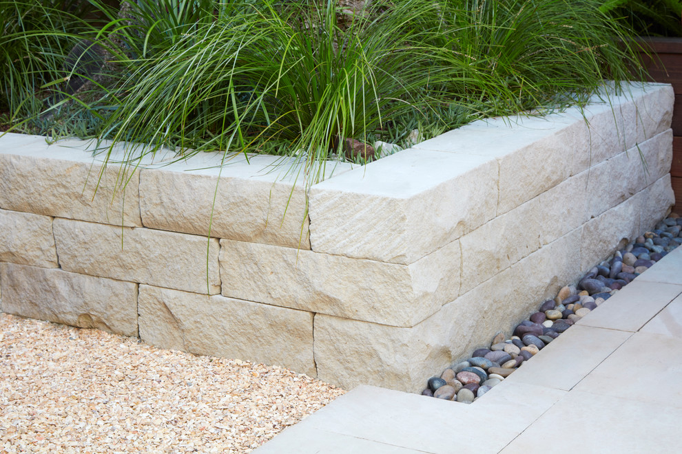 Photo of a mid-sized modern backyard xeriscape in Orange County with a retaining wall.