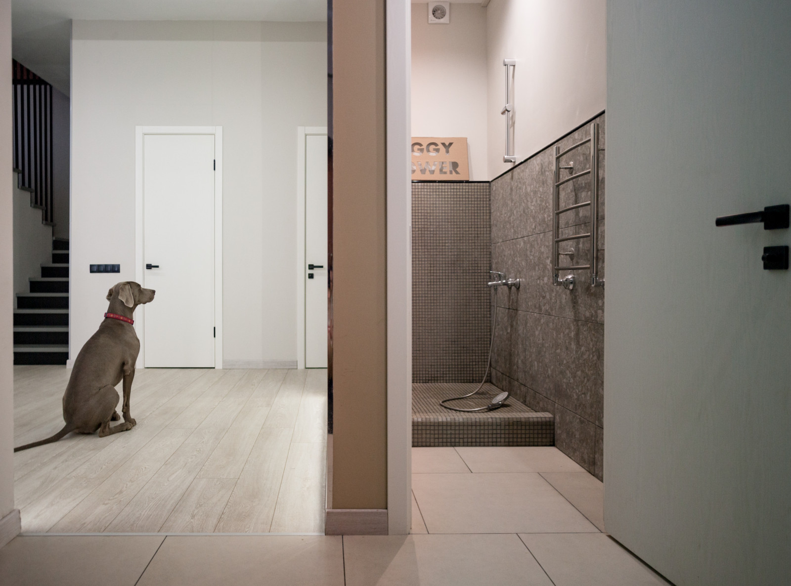 Дом с четырьмя лестницами