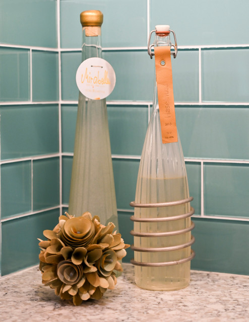 Oak Ridge Dr. Kitchen Remodel trendy-koekken