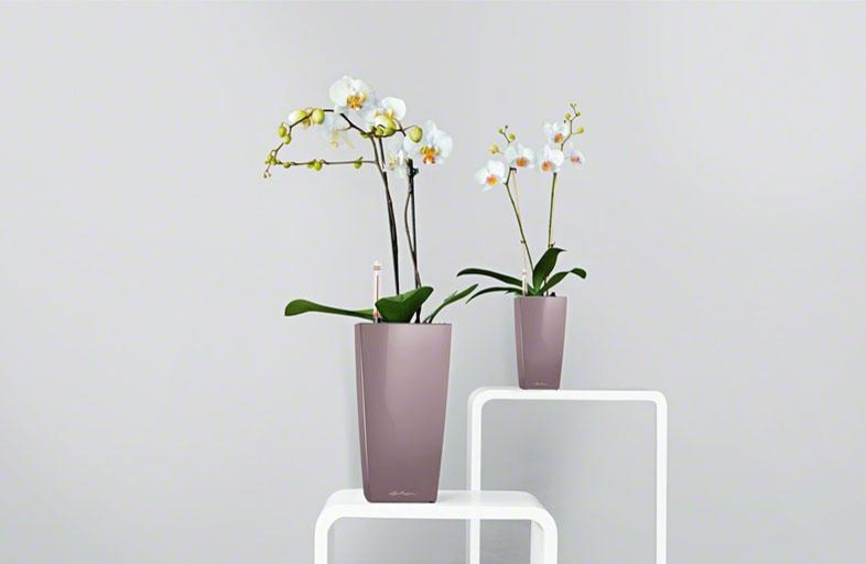 Раскройте свои планы