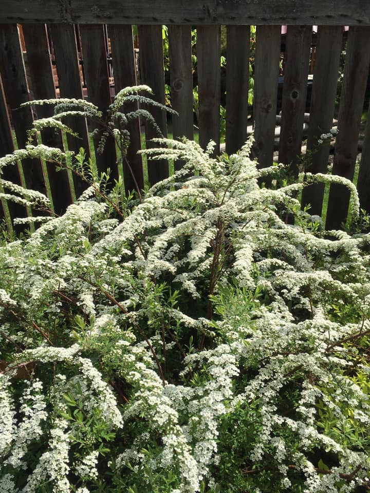 Дом под Рузой