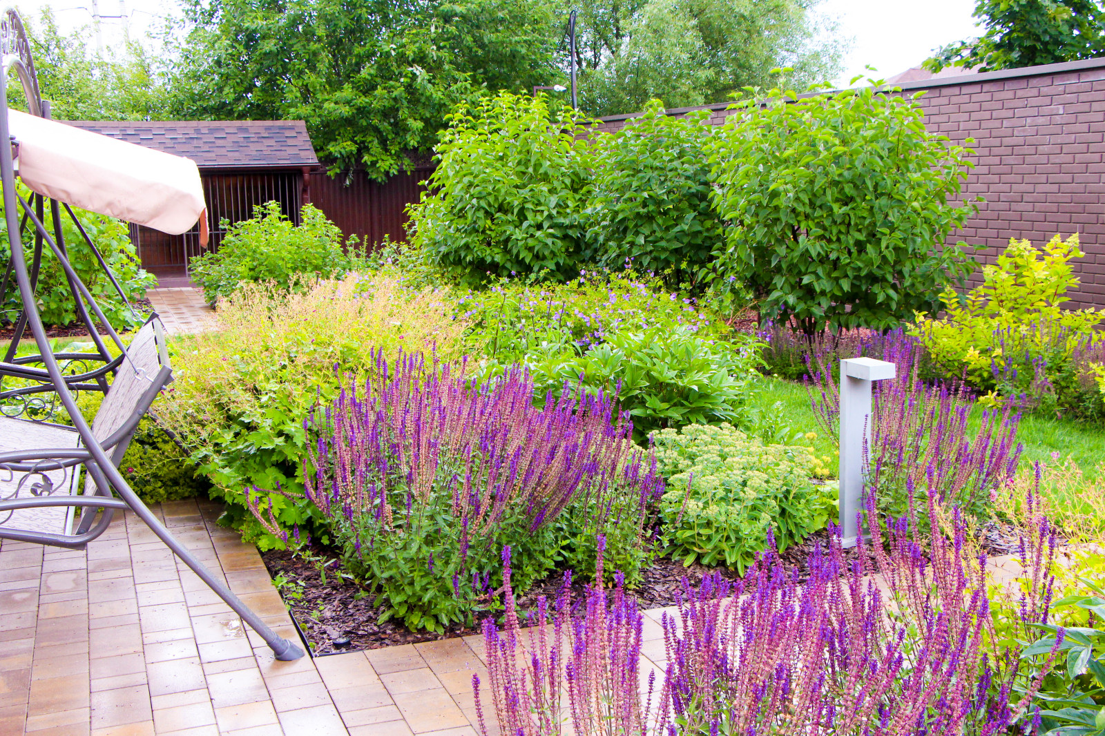 Петровское, 2018-2020 гг.