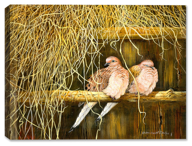 Feather Bed Mourning Doves