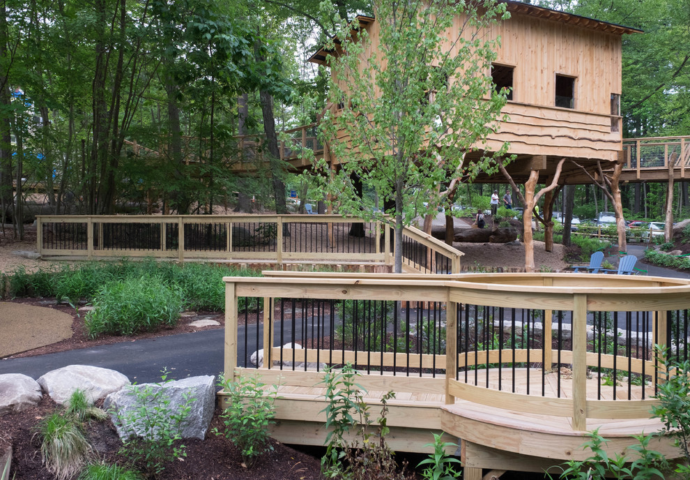 Discovery Woods
