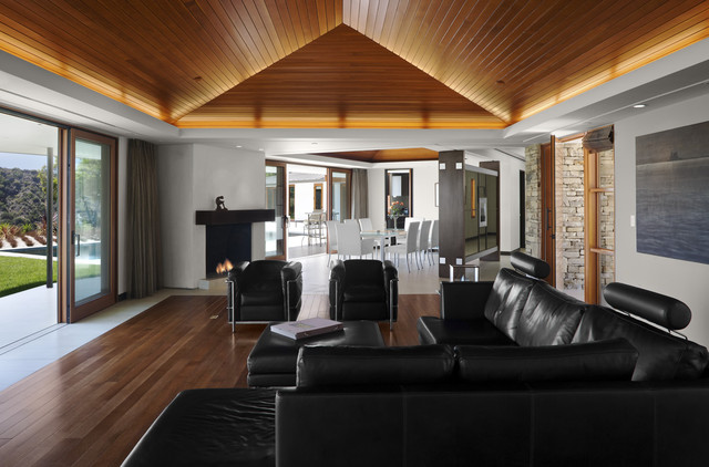 Charles Chesnut contemporary-living-room