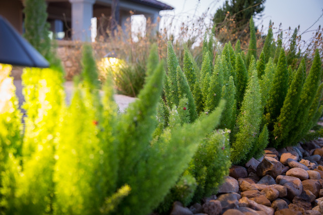 Custom Home in Bulverde traditional-garden