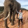 brooke_baugher