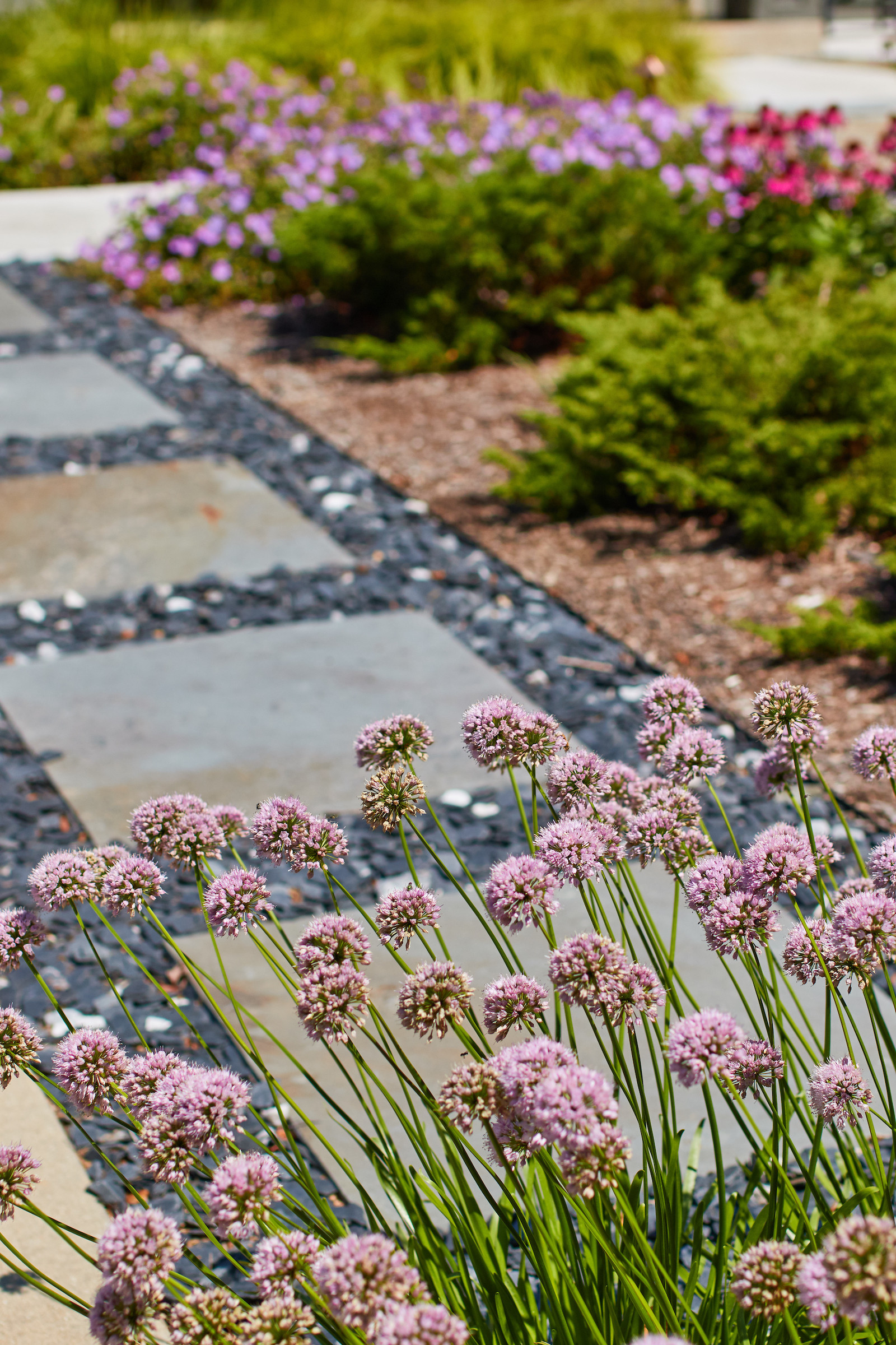 Modern Prairie Front Landscape - New Berlin