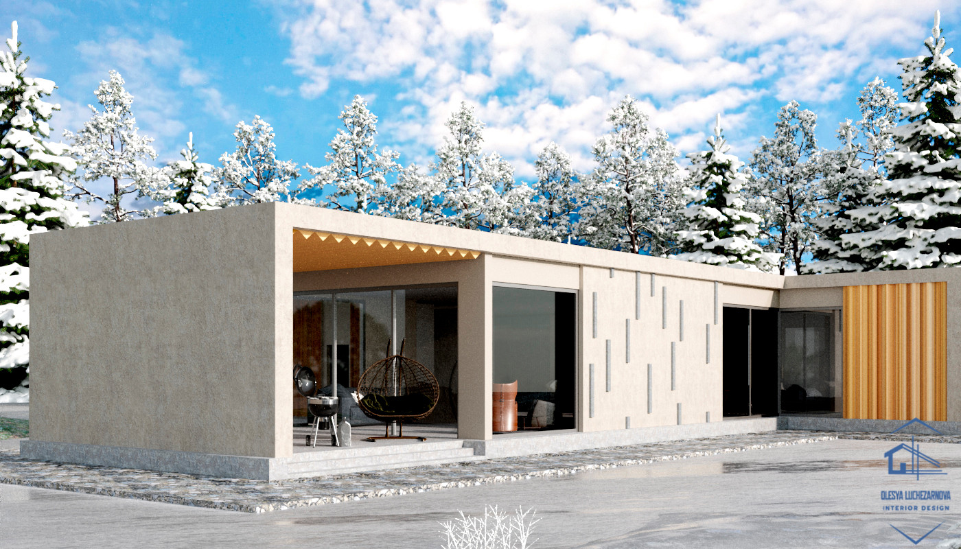 Экстерьер минималистичного дома