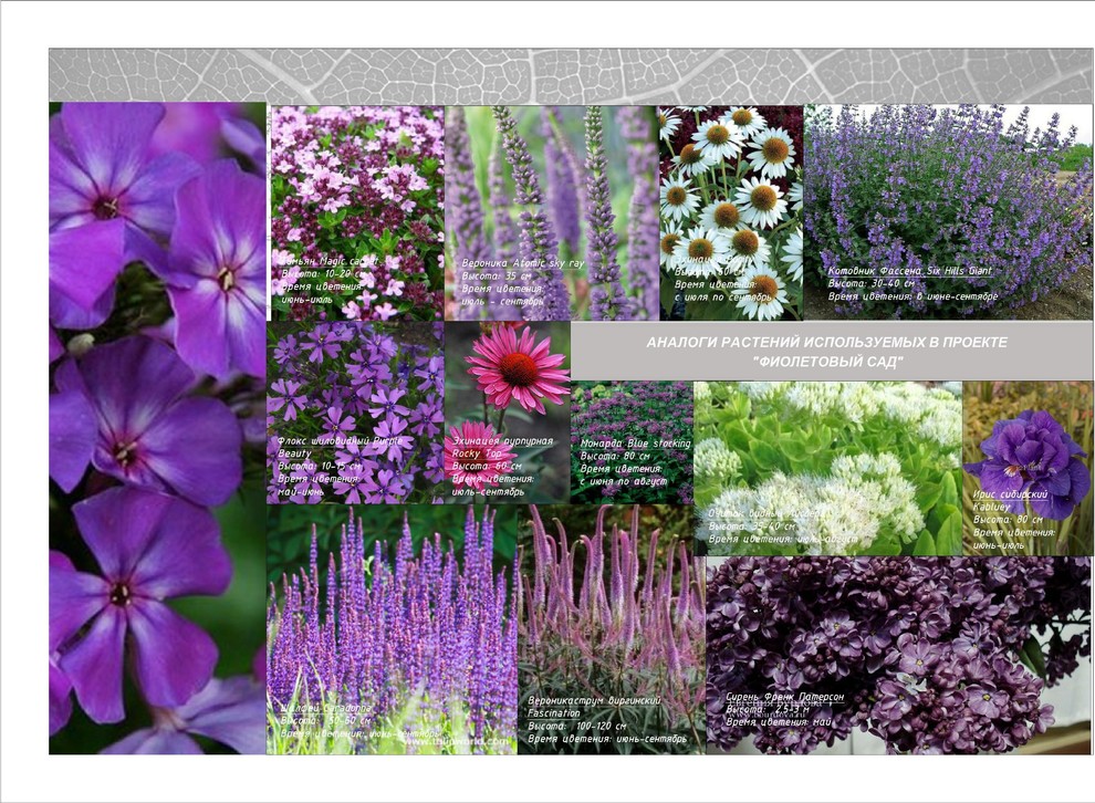 Тематический парк для проведения торжеств (ресторанный комплекс)