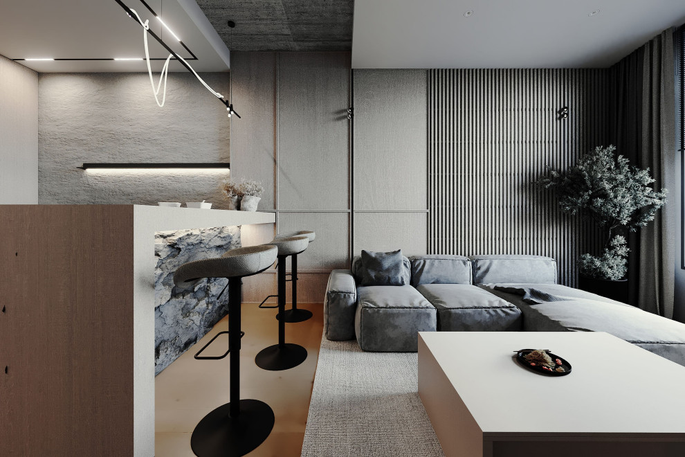 Кухня-Гостиная 4