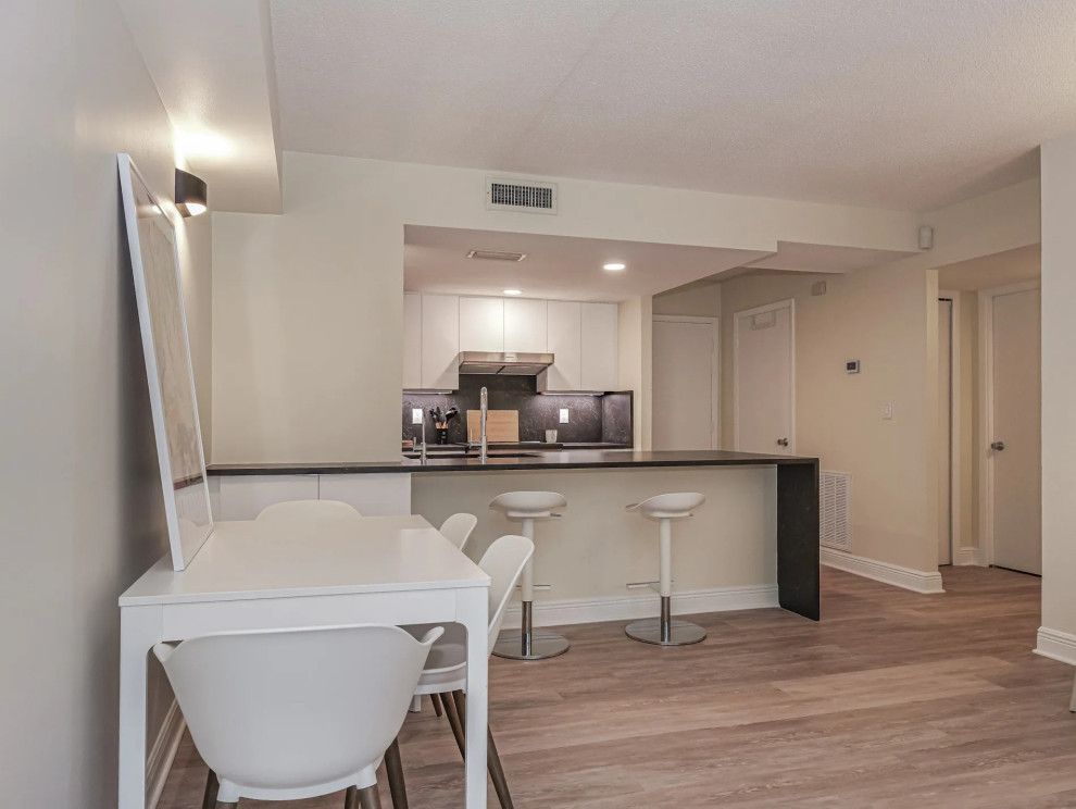 Condo Kitchen Renovation