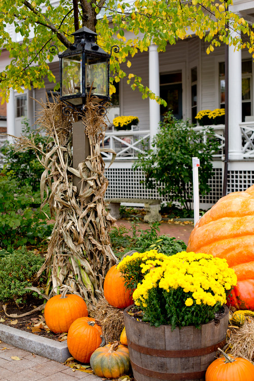 The Gorgeous Colors of Fall - Town & Country Living