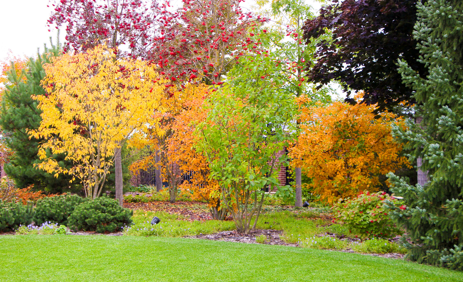 Горки-10, 2017-2020 г.г.