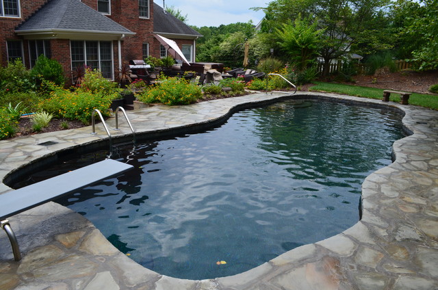 Free Form Gunite Pool - Traditional - Other - by Anchor Pools and ...