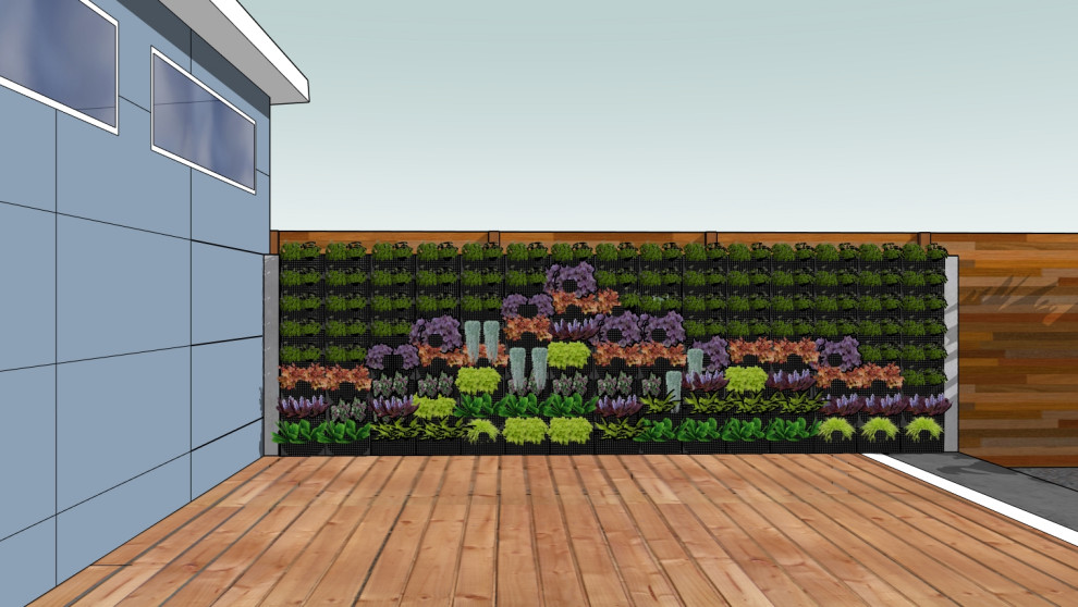 Vertical Garden Wall