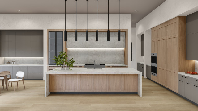 Lincoln transitional kitchen transitional-rendering
