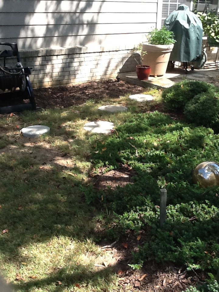 How can I treat area adjacent to flagstone patio and bark mulched isla