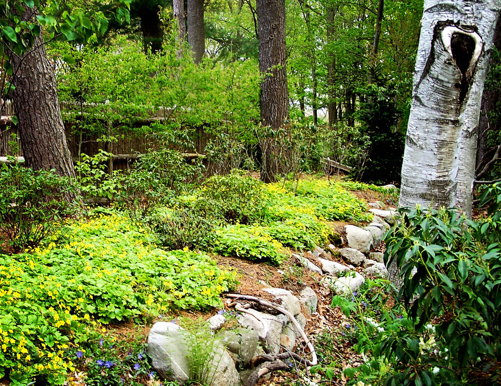New England Perennial Flower Gardens Eclectic Landscape Boston