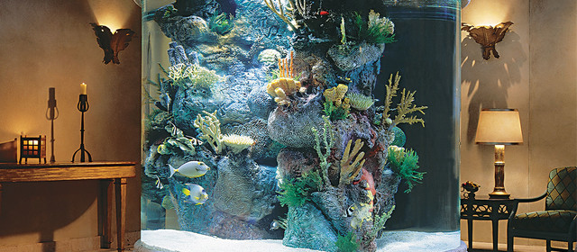 Aquariums klassisk-vardagsrum