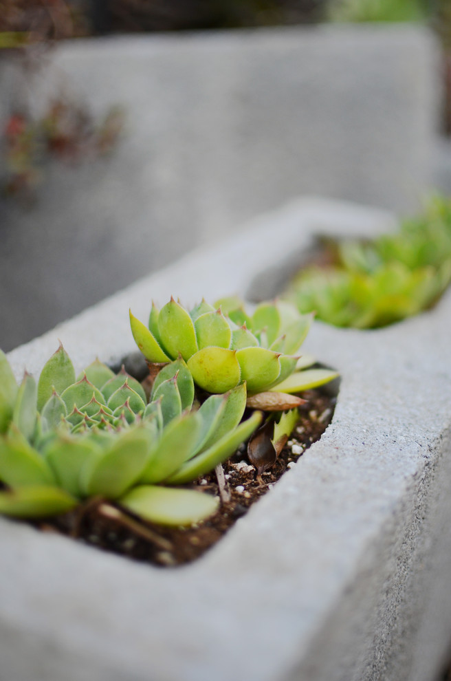 Weirdly Wonderful Planters Give Stuffy Style the Boot