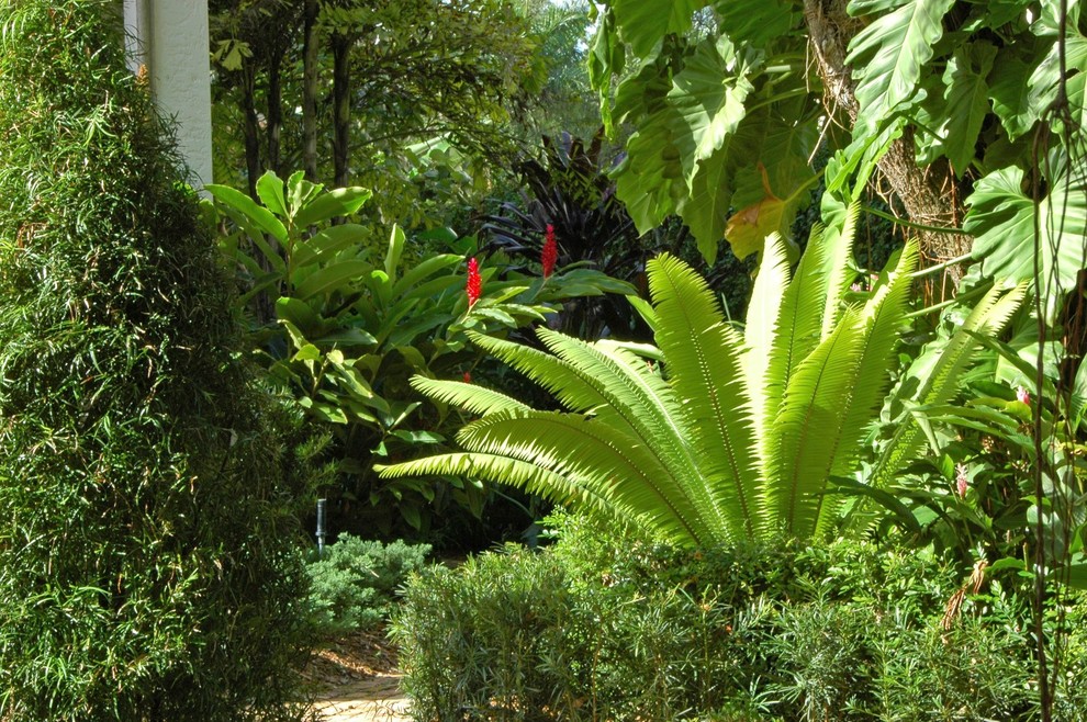 Photo of a mediterranean garden in Miami.