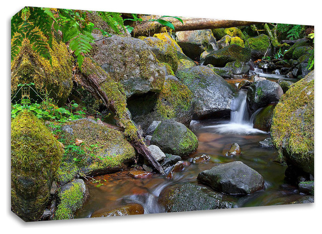 Mossy Stream By Michael Broom Print On Canvas Ready To Hang