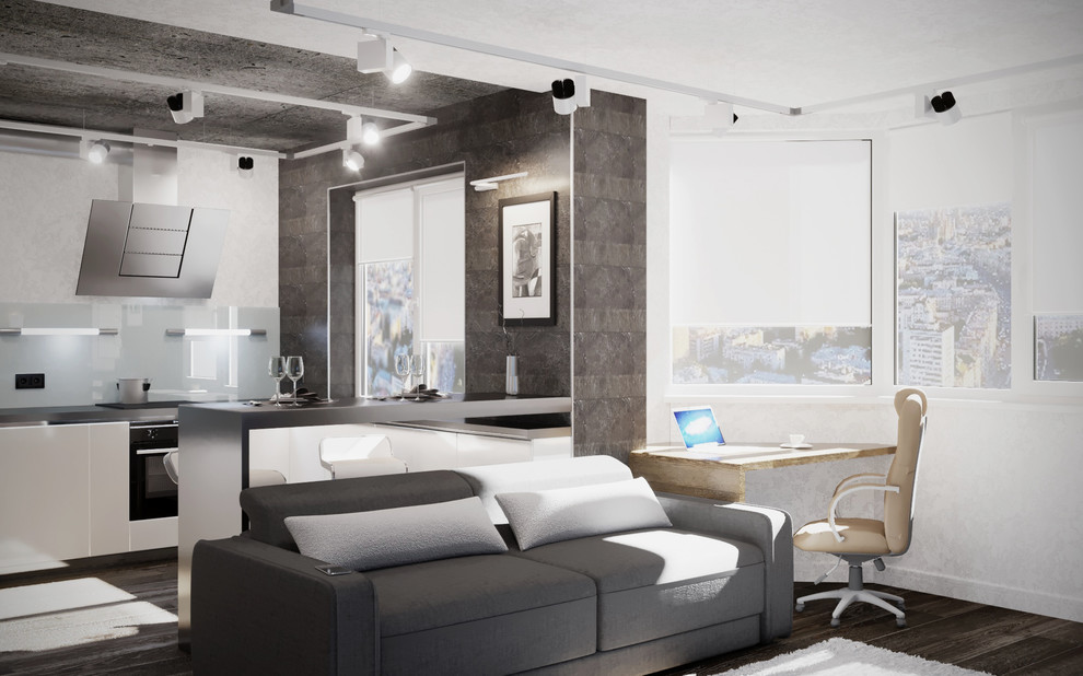 Холостяцкая квартира (гостиная/кухня)