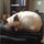 tom_finegan34