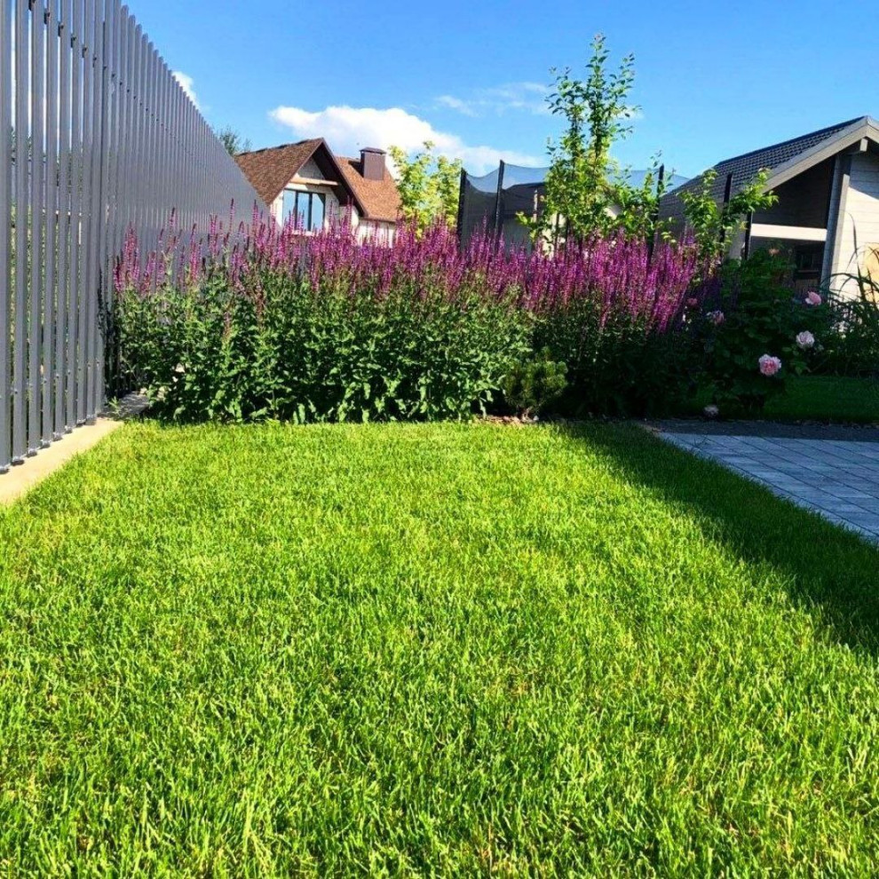 Рулонный газон