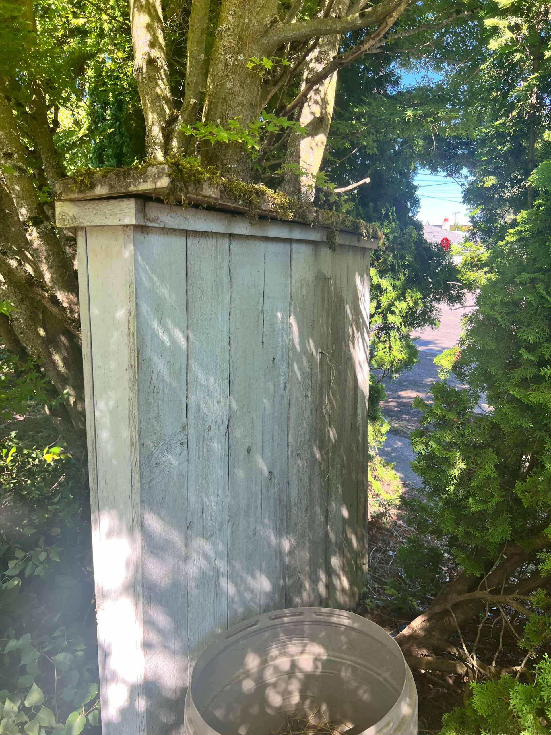 Exterior House Painting