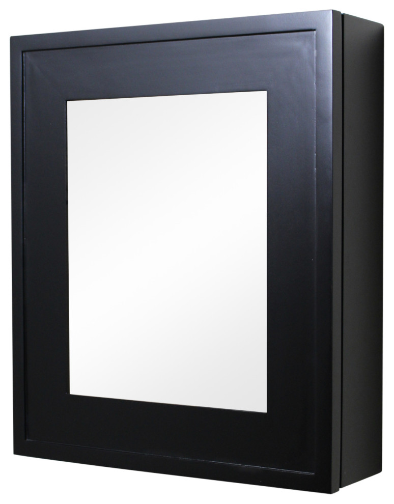 Wall Mount Mirrored Medicine Cabinet - Transitional - Medicine Cabinets