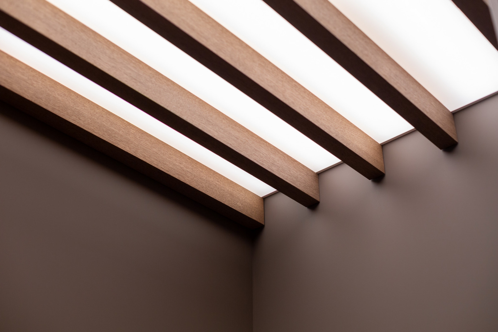 Английский сад