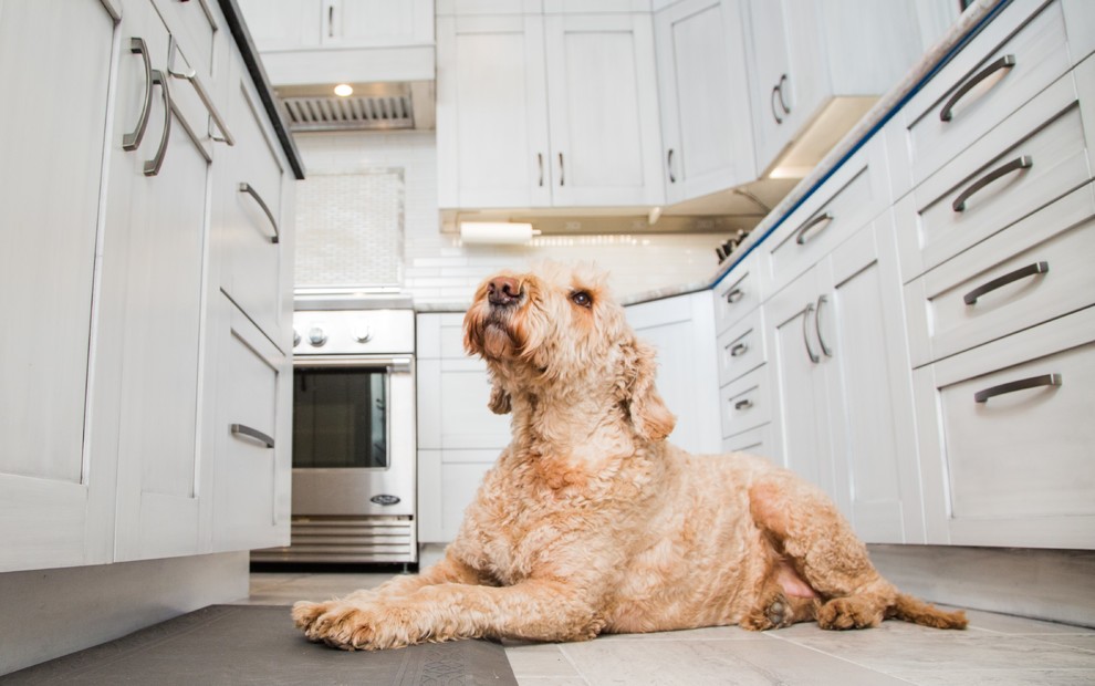 Eat-in kitchen - large transitional l-shaped porcelain tile eat-in kitchen idea in Austin with a single-bowl sink, shaker cabinets, gray cabinets, soapstone countertops, white backsplash, ceramic backsplash, stainless steel appliances and an island