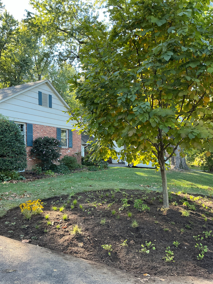 Front Yard Revival: Restoring Curbside Elegance with Native Plants and purpose