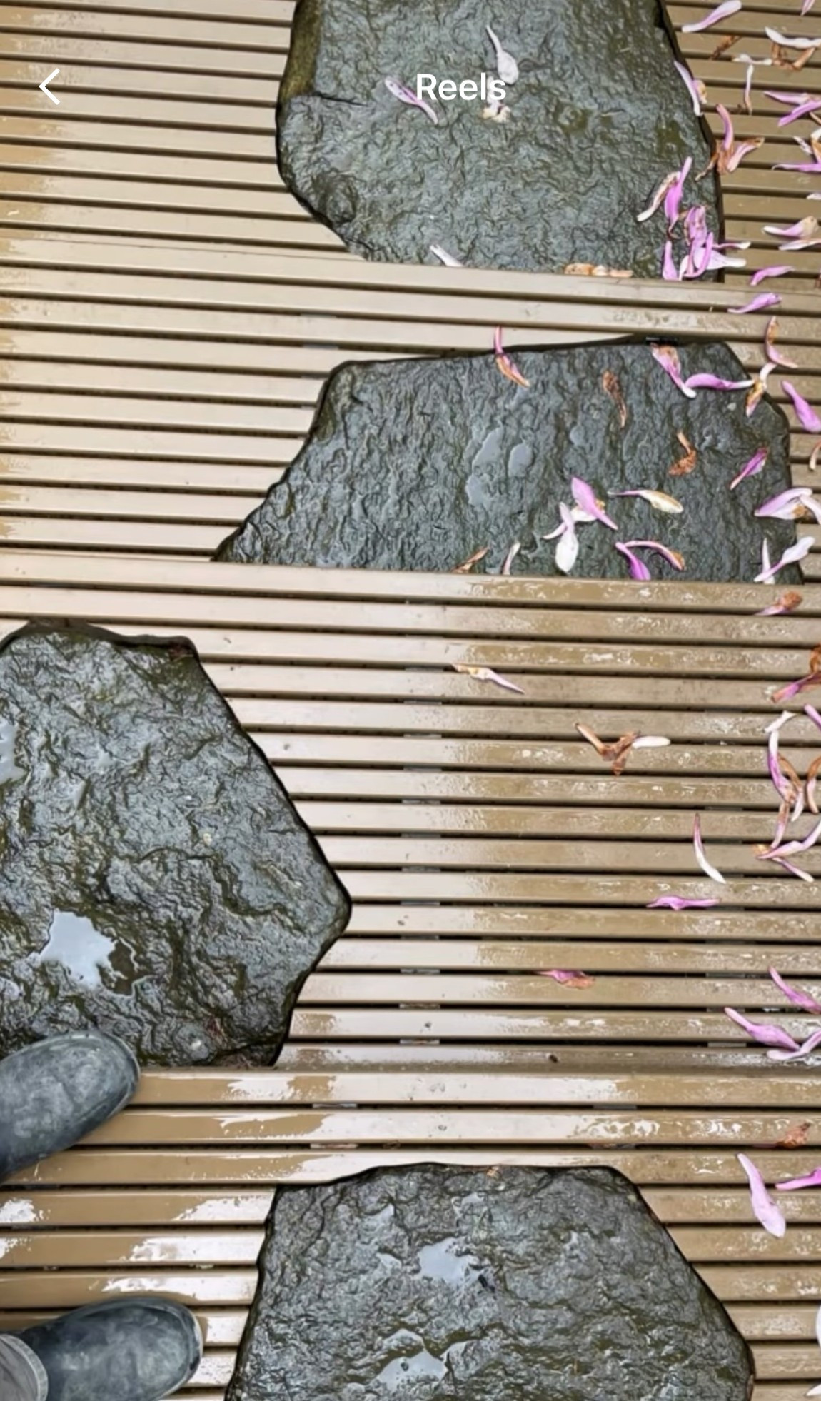 Harmony + Tranquility: A Landscape Renewal