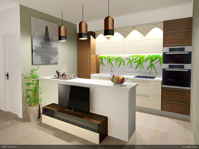 Kitchen conversion in two different style modern-rendering